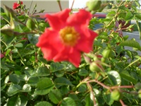7f6cdffb-Picture 332.jpg